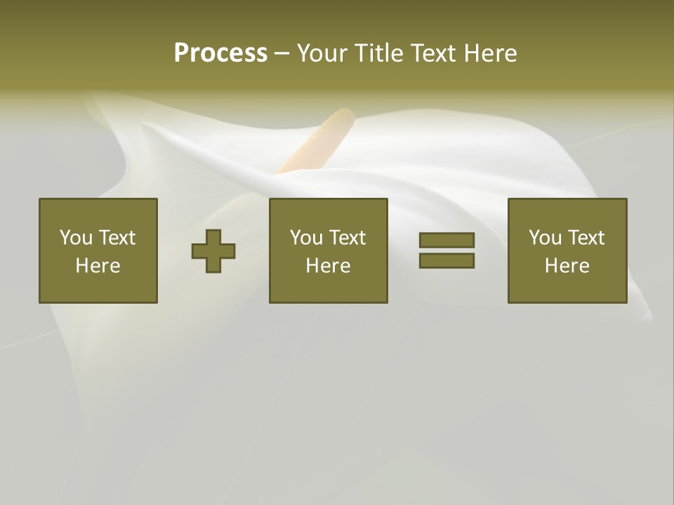 Calla Lily Botany Plant PowerPoint Template