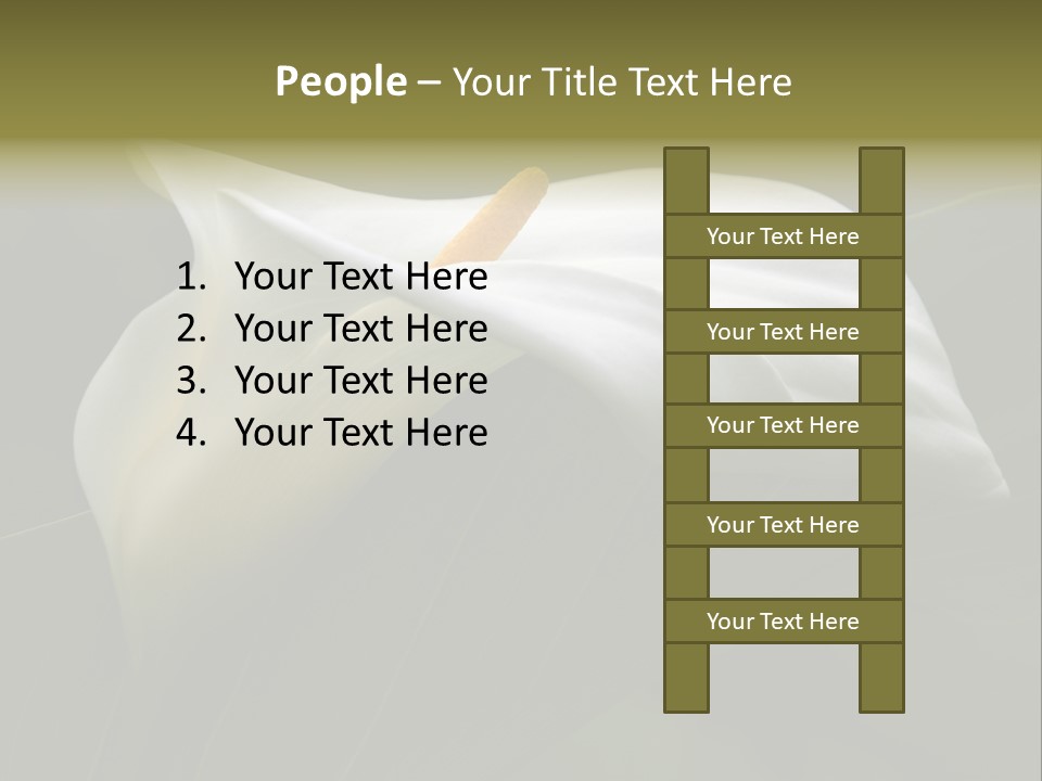 Calla Lily Botany Plant PowerPoint Template