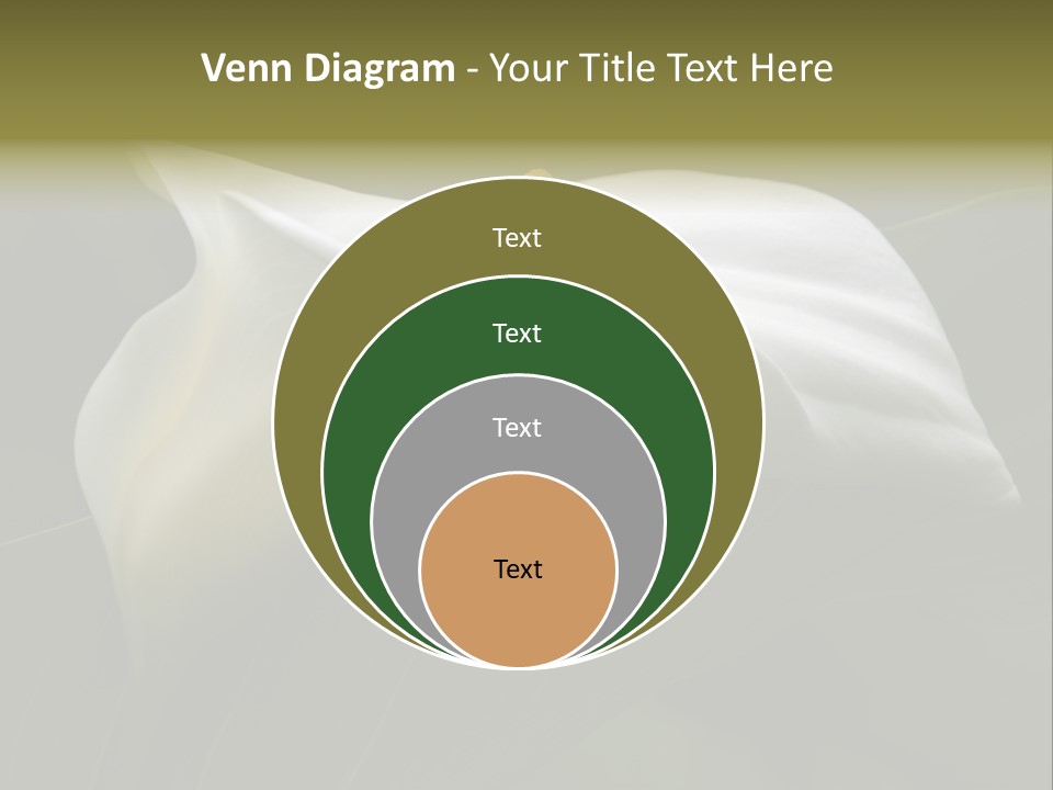 Calla Lily Botany Plant PowerPoint Template