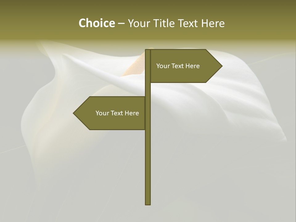 Calla Lily Botany Plant PowerPoint Template