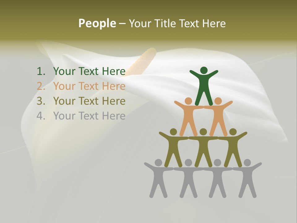 Calla Lily Botany Plant PowerPoint Template