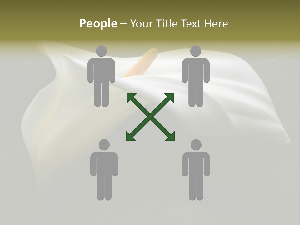 Calla Lily Botany Plant PowerPoint Template