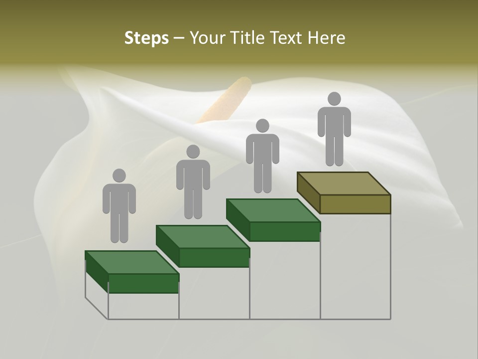 Calla Lily Botany Plant PowerPoint Template