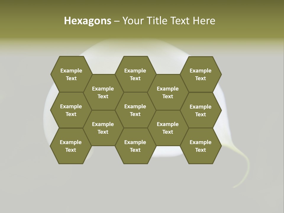 Green Lily Showy PowerPoint Template