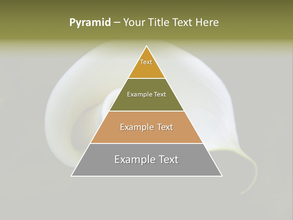 Green Lily Showy PowerPoint Template