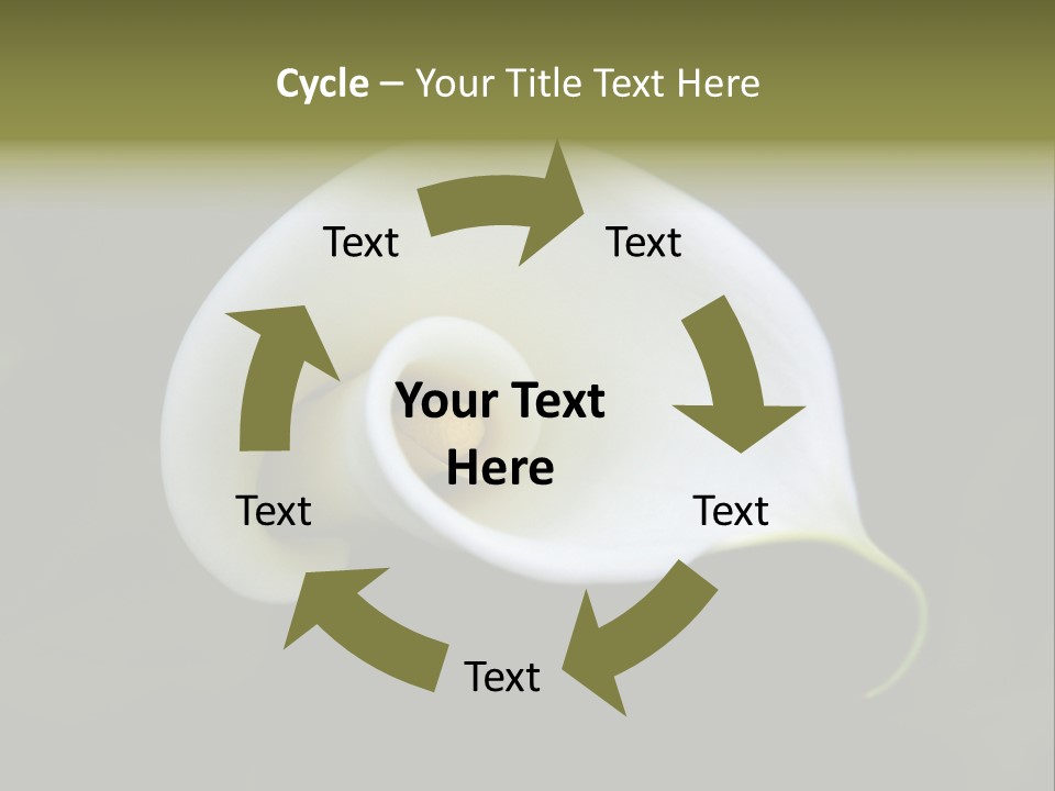 Green Lily Showy PowerPoint Template