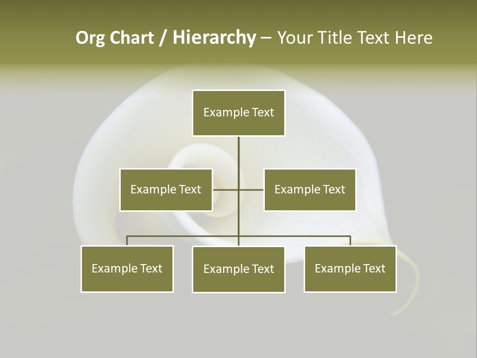 Green Lily Showy PowerPoint Template