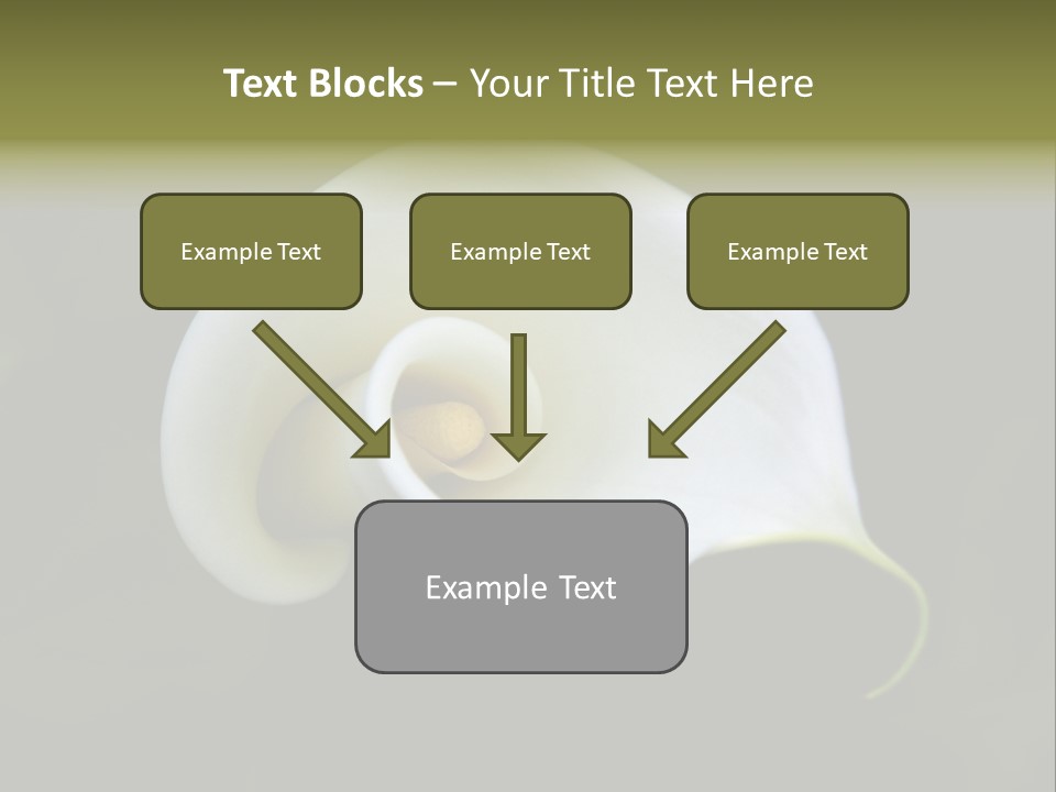 Green Lily Showy PowerPoint Template