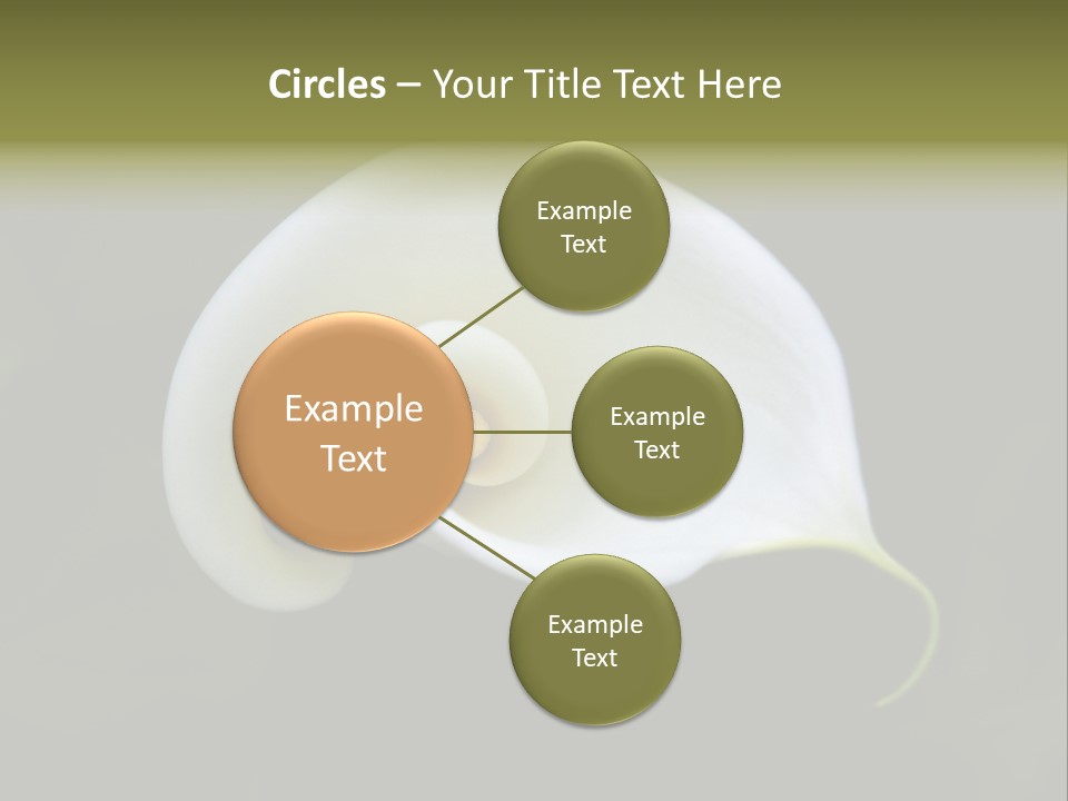 Green Lily Showy PowerPoint Template