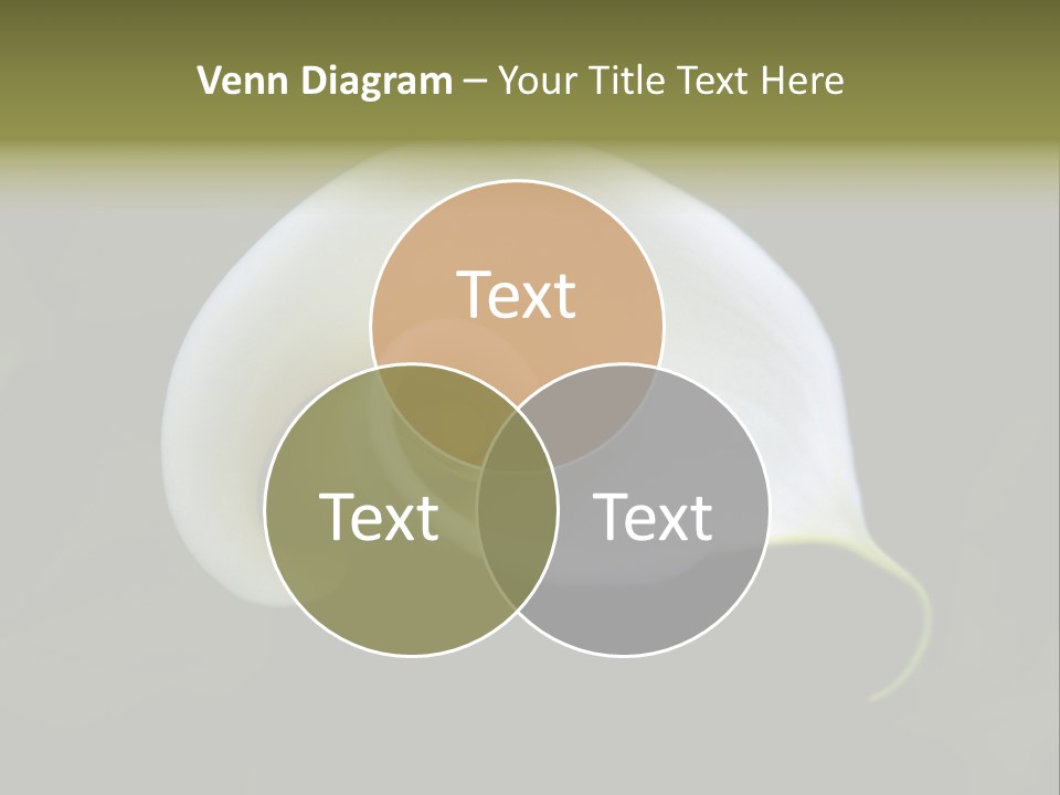 Green Lily Showy PowerPoint Template