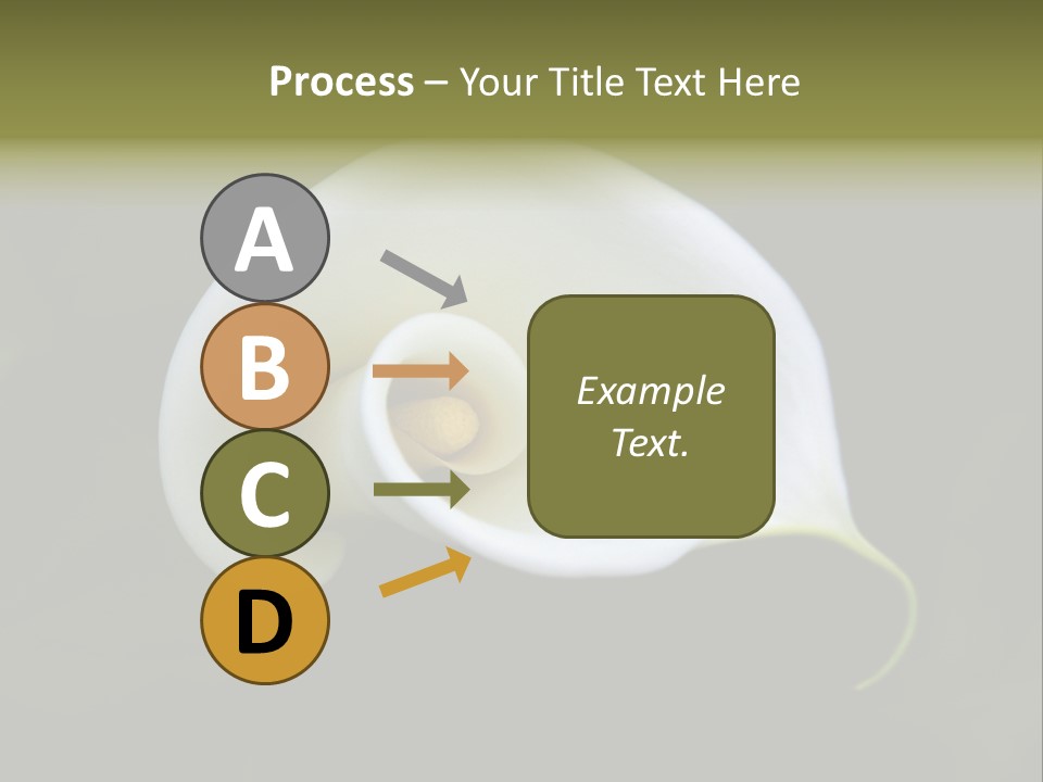 Green Lily Showy PowerPoint Template