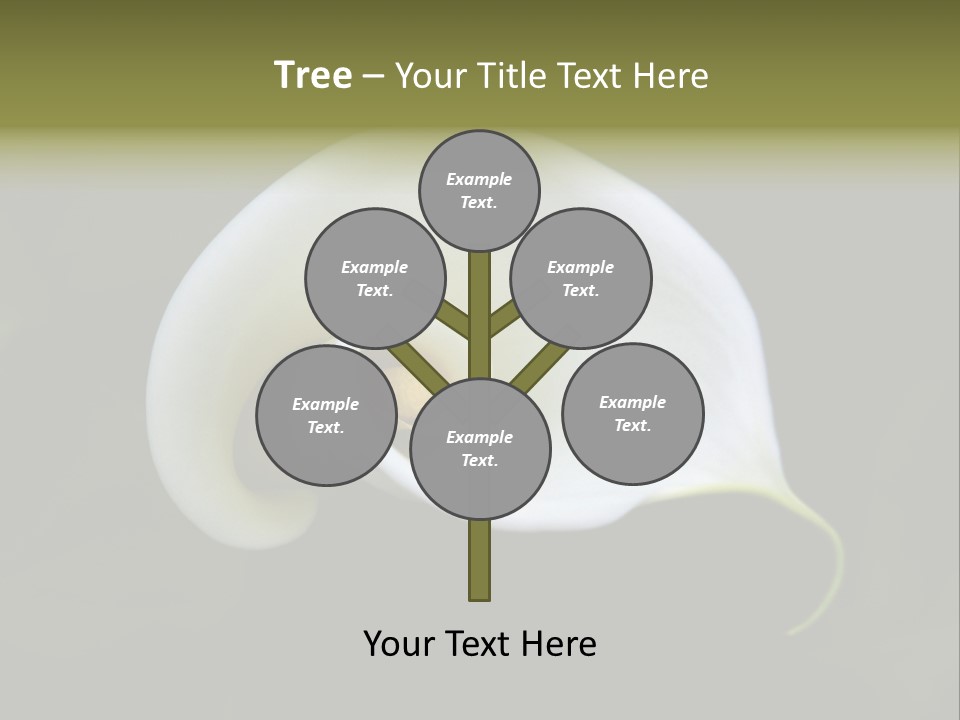 Green Lily Showy PowerPoint Template