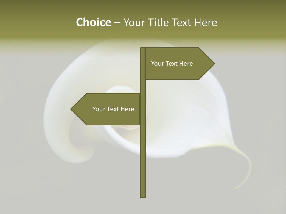 Green Lily Showy PowerPoint Template