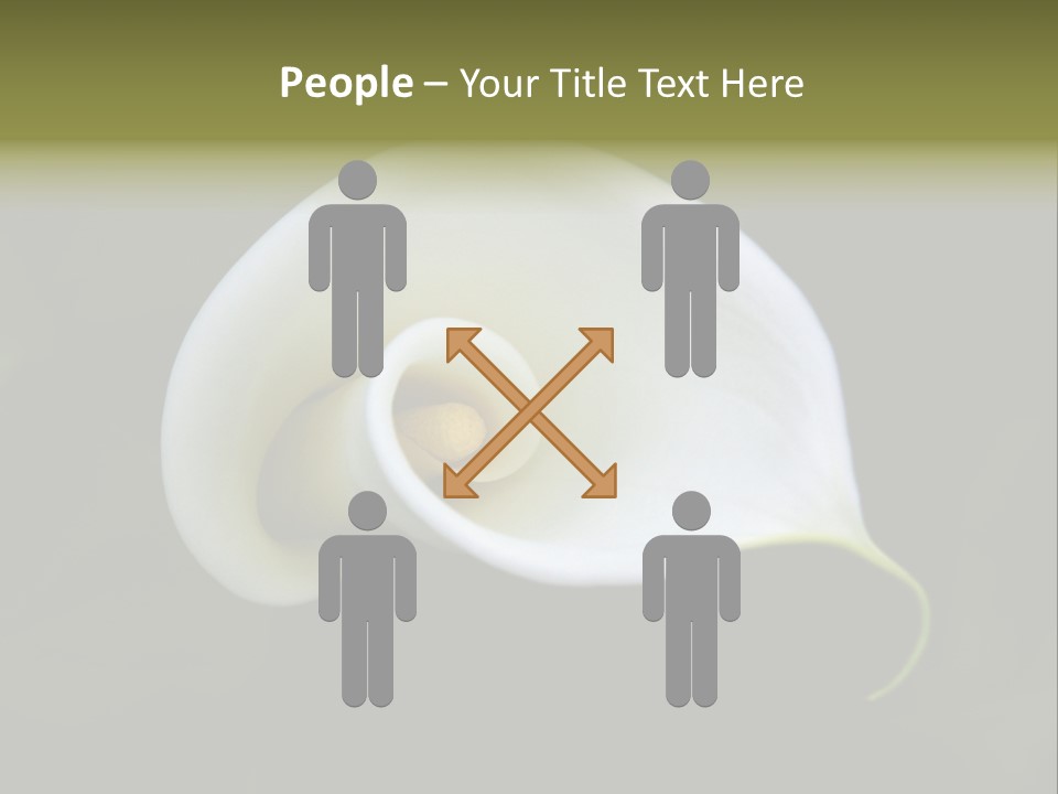 Green Lily Showy PowerPoint Template