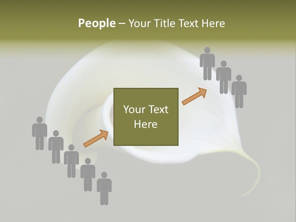 Green Lily Showy PowerPoint Template