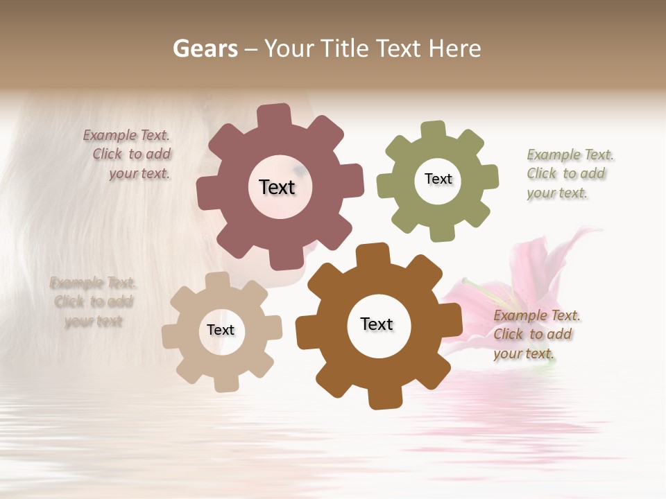 White Harmony Rose PowerPoint Template