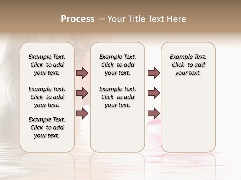 White Harmony Rose PowerPoint Template