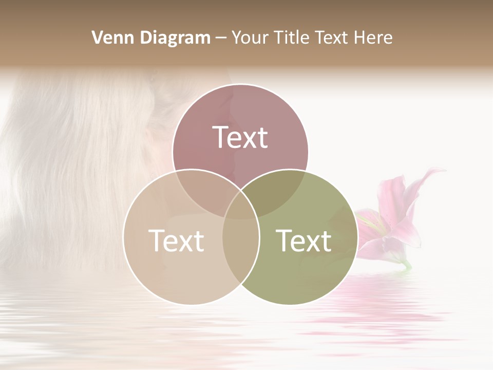 White Harmony Rose PowerPoint Template