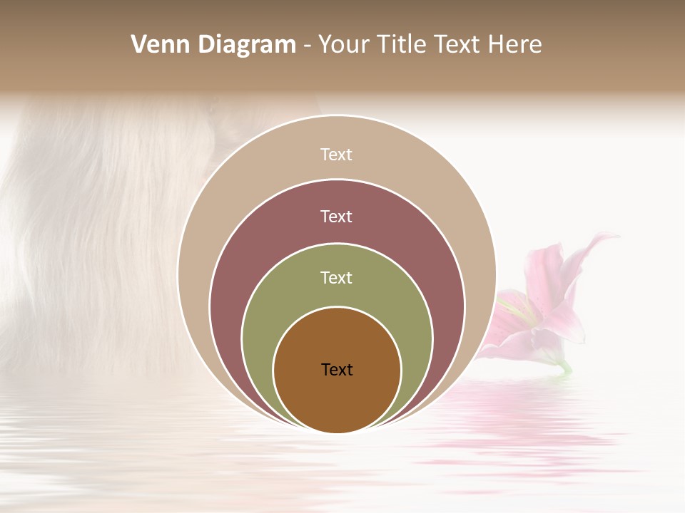 White Harmony Rose PowerPoint Template