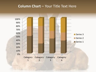 Brown Rabbit Hairy PowerPoint Template