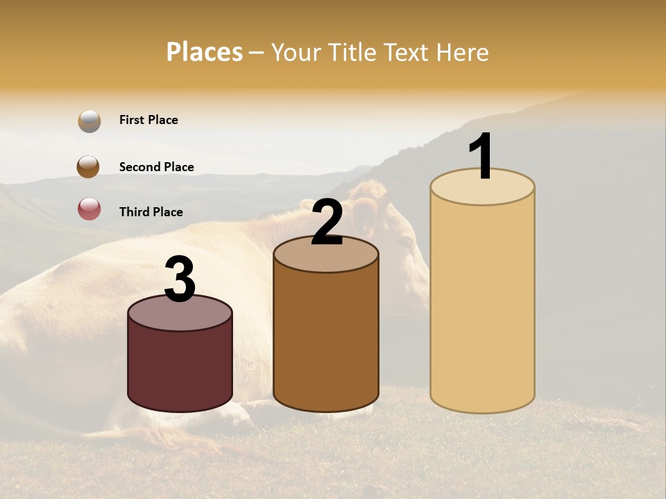 Field Herd Blond PowerPoint Template