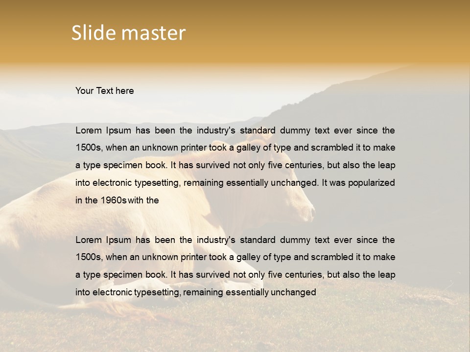 Field Herd Blond PowerPoint Template