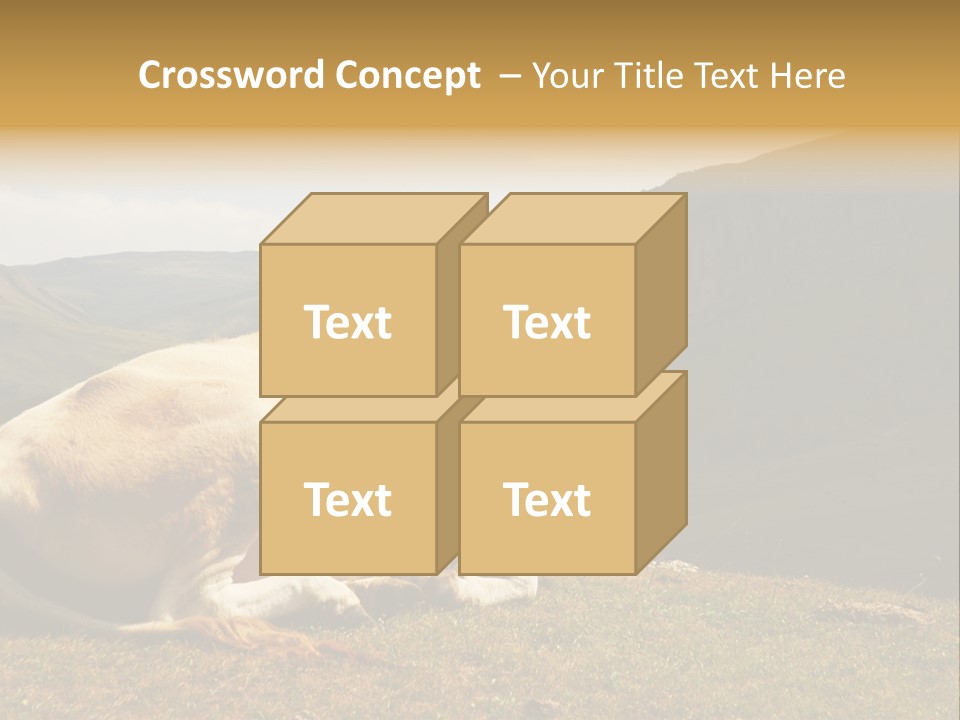 Field Herd Blond PowerPoint Template