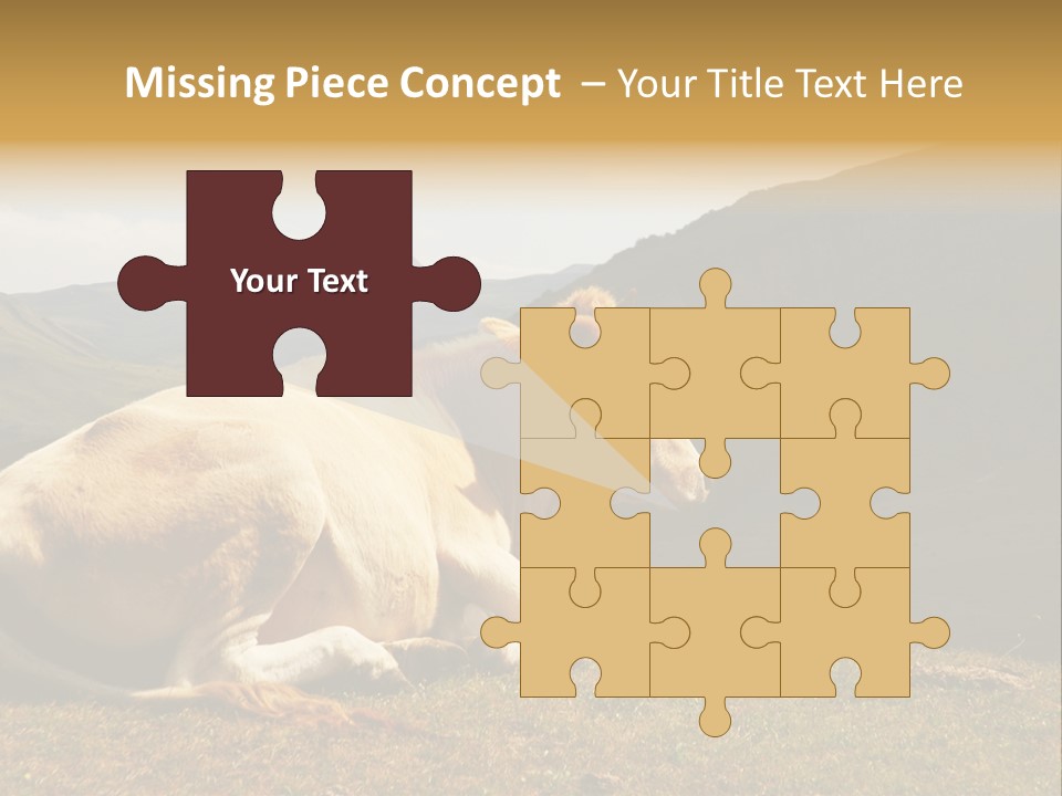 Field Herd Blond PowerPoint Template
