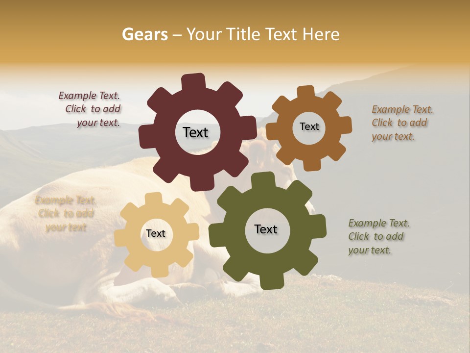 Field Herd Blond PowerPoint Template