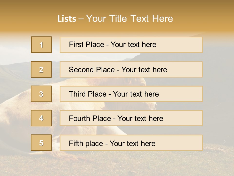 Field Herd Blond PowerPoint Template