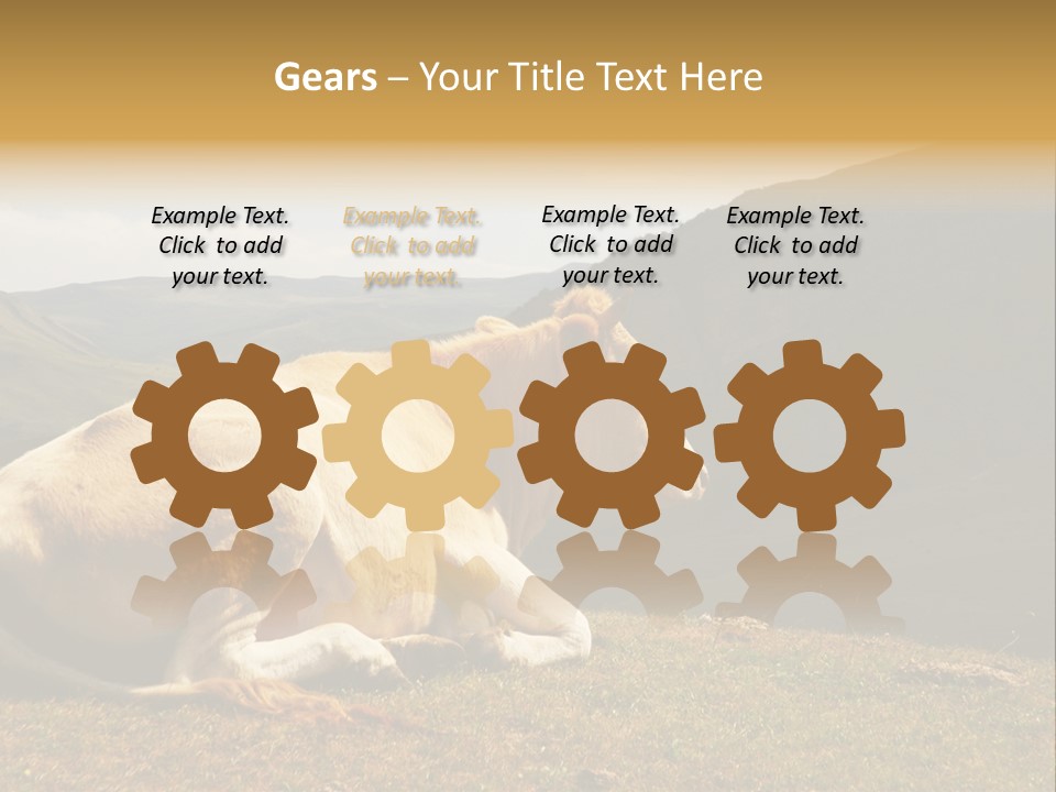 Field Herd Blond PowerPoint Template