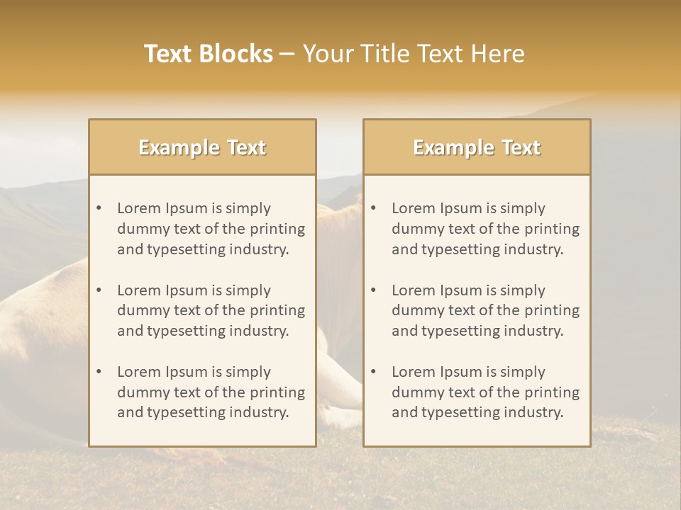 Field Herd Blond PowerPoint Template