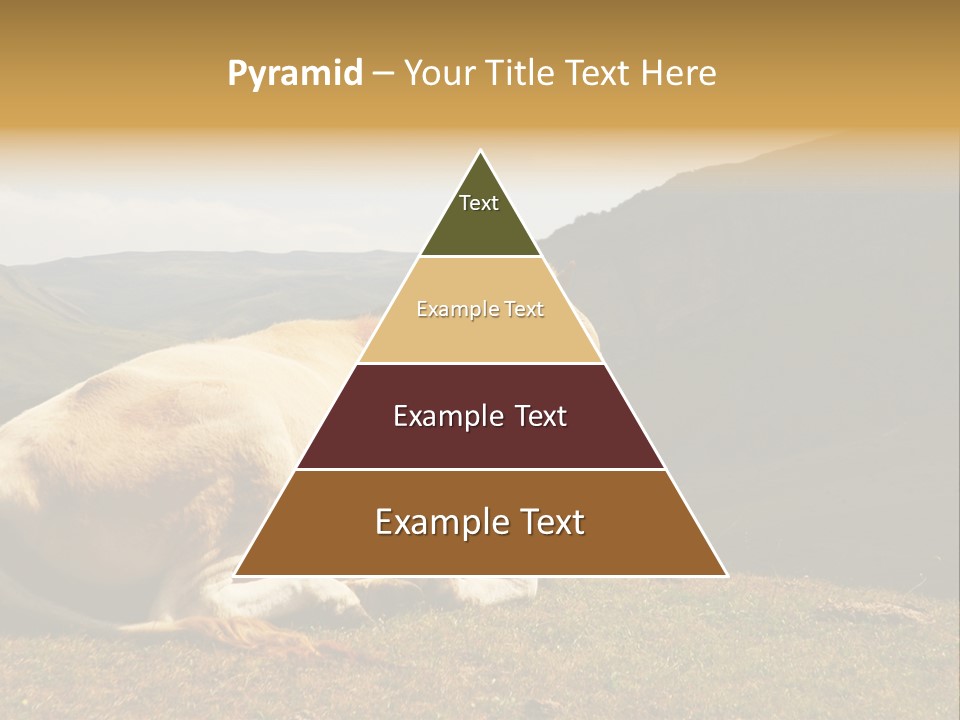 Field Herd Blond PowerPoint Template