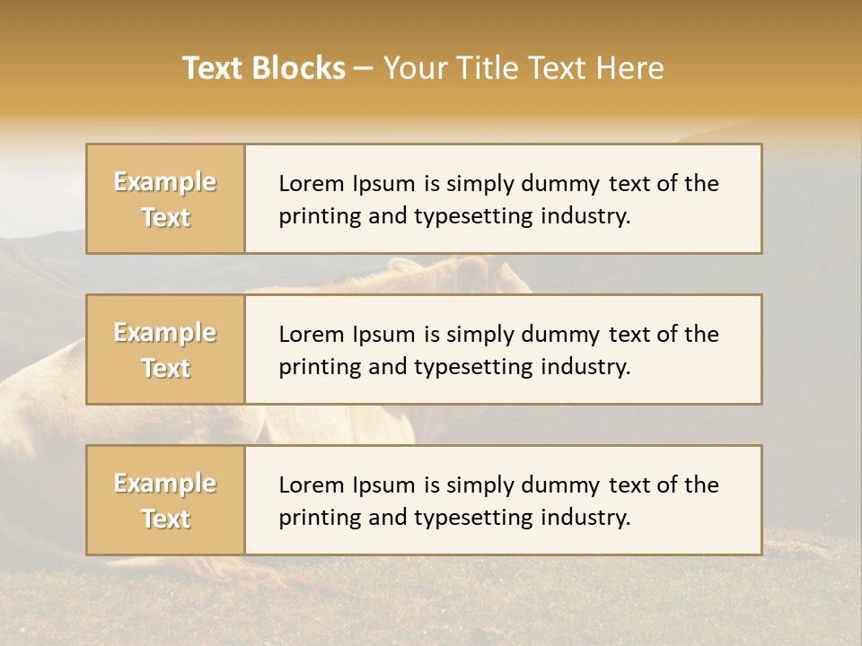 Field Herd Blond PowerPoint Template