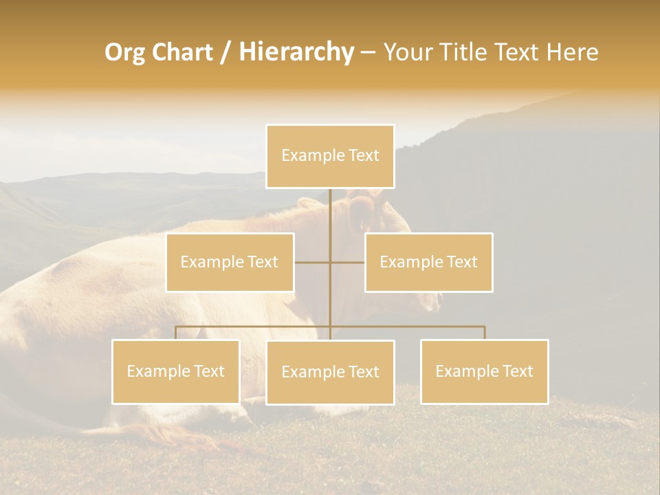 Field Herd Blond PowerPoint Template