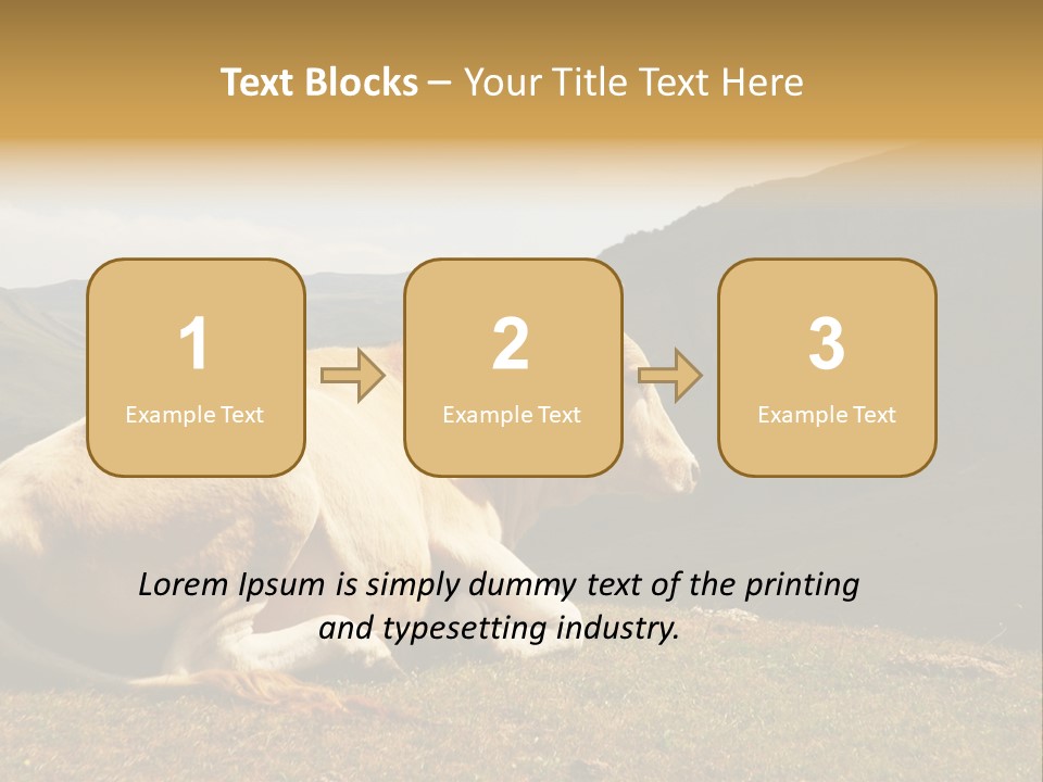 Field Herd Blond PowerPoint Template