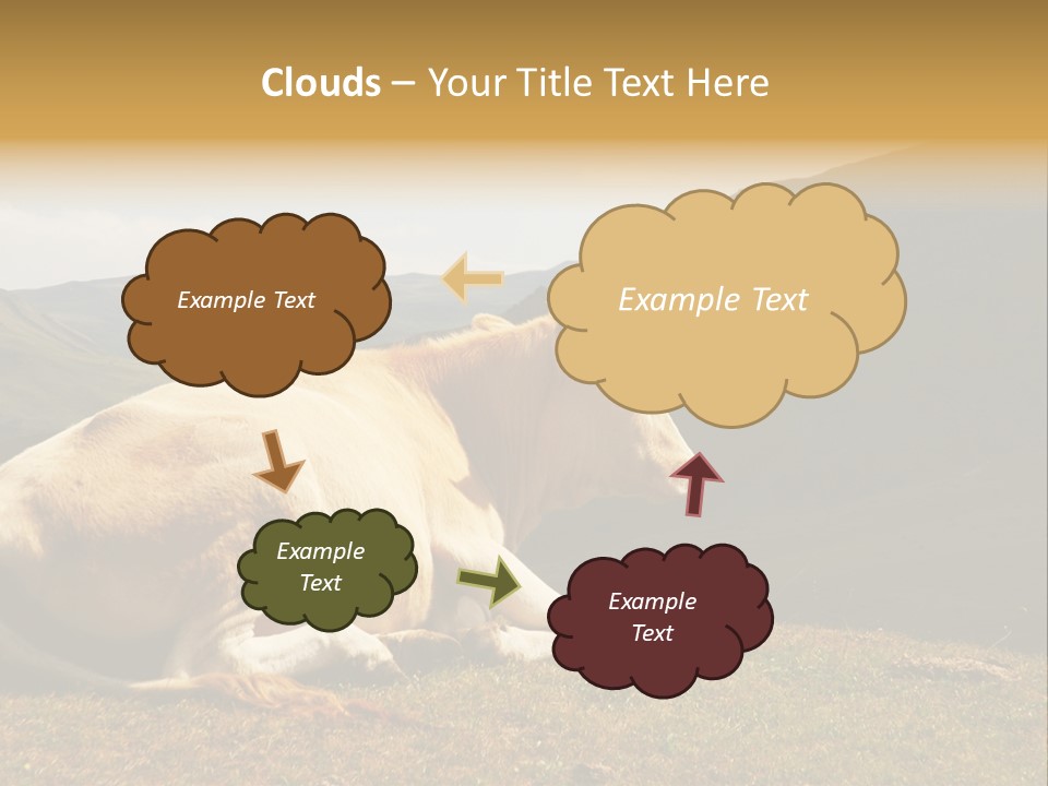 Field Herd Blond PowerPoint Template