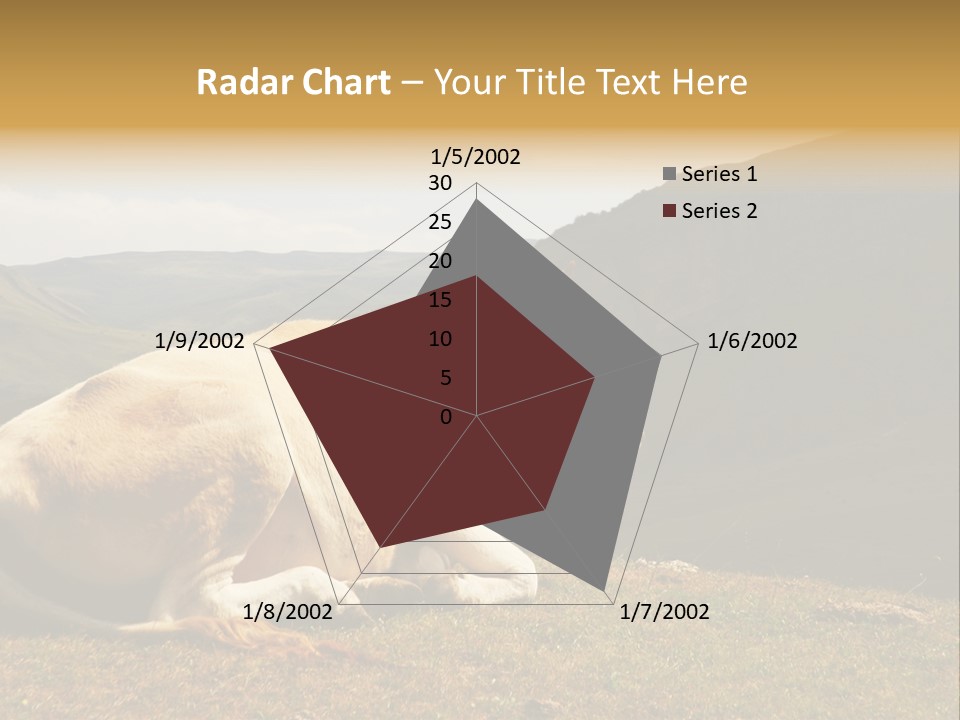 Field Herd Blond PowerPoint Template