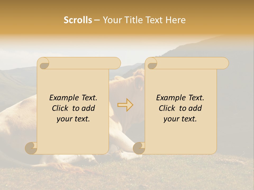 Field Herd Blond PowerPoint Template