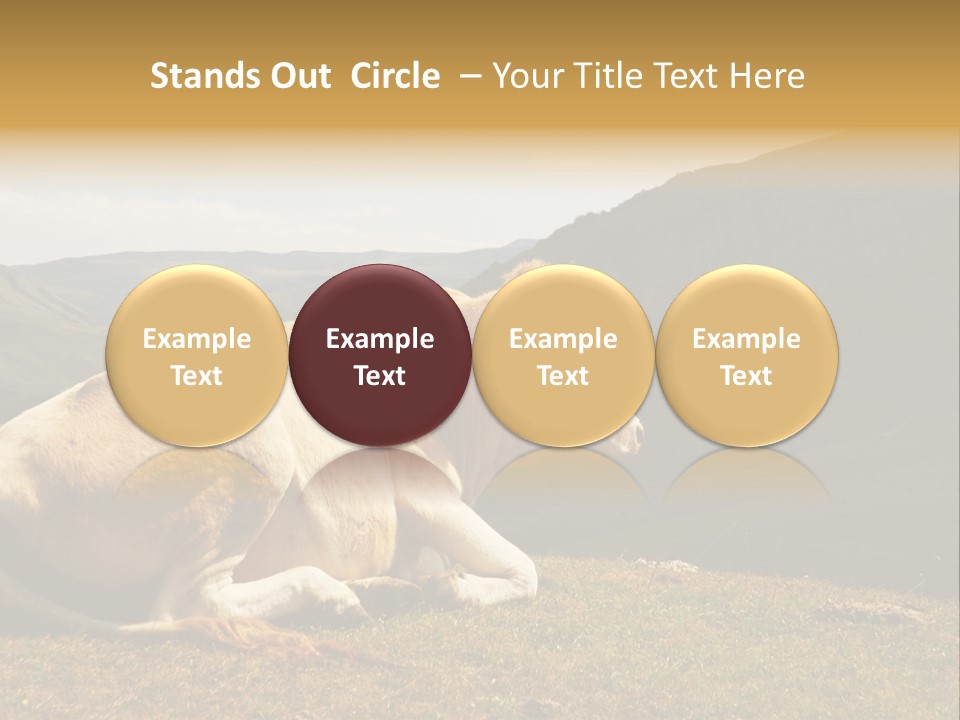 Field Herd Blond PowerPoint Template