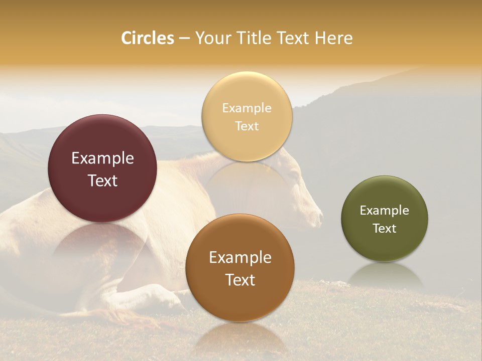 Field Herd Blond PowerPoint Template