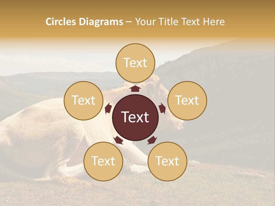 Field Herd Blond PowerPoint Template