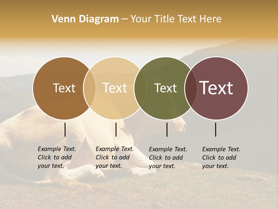 Field Herd Blond PowerPoint Template