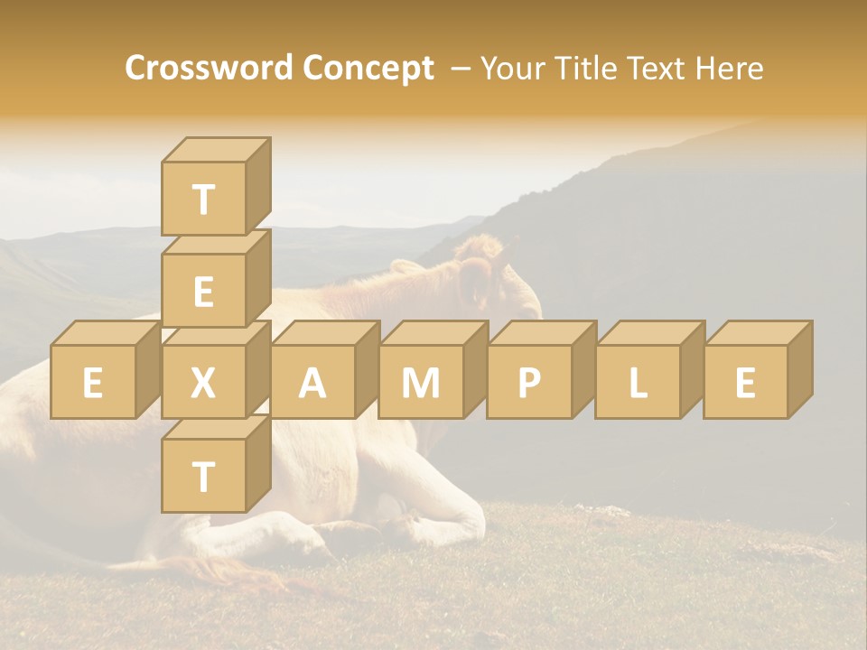 Field Herd Blond PowerPoint Template