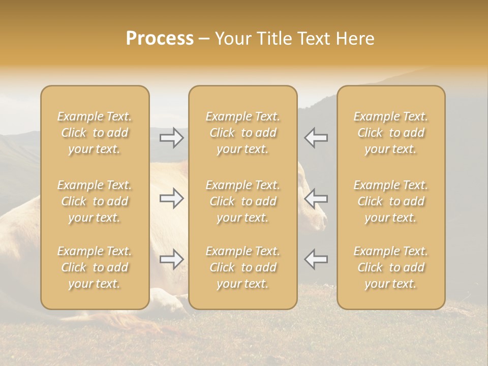 Field Herd Blond PowerPoint Template