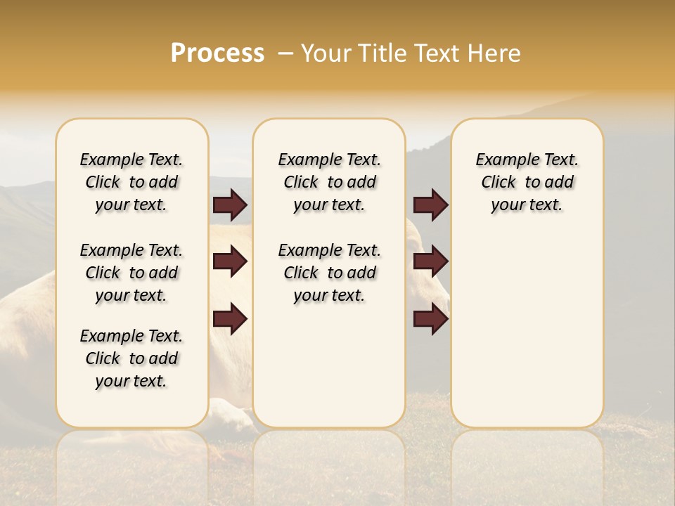 Field Herd Blond PowerPoint Template
