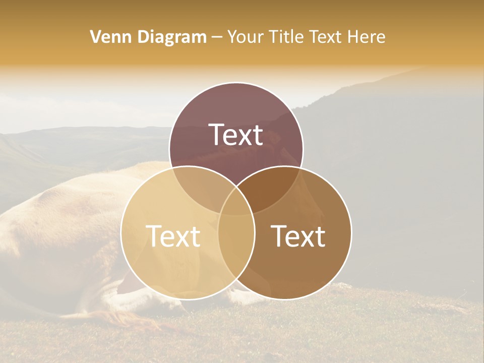 Field Herd Blond PowerPoint Template