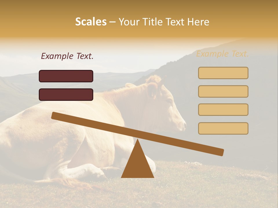 Field Herd Blond PowerPoint Template