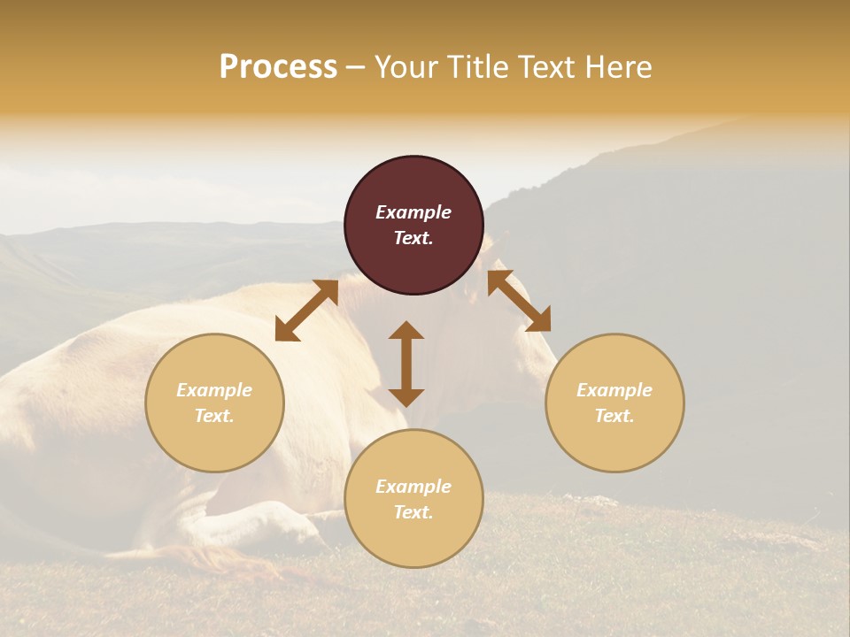 Field Herd Blond PowerPoint Template