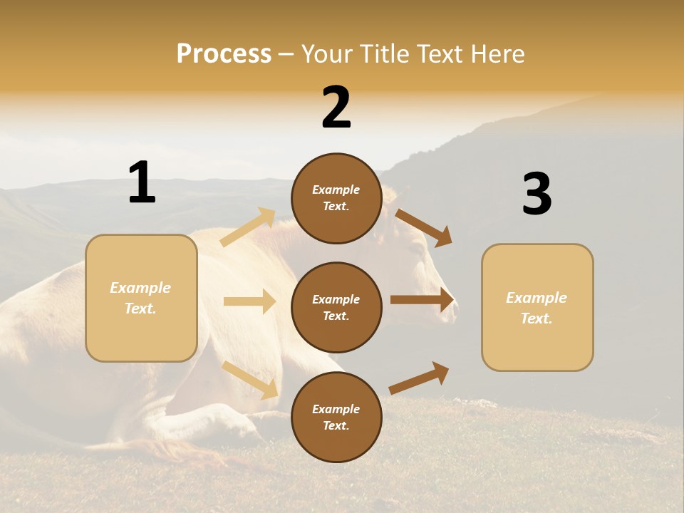 Field Herd Blond PowerPoint Template